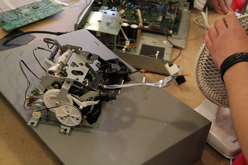 Bling for dogs helps fight worldwide problem