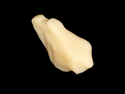 rapid prototyping machines