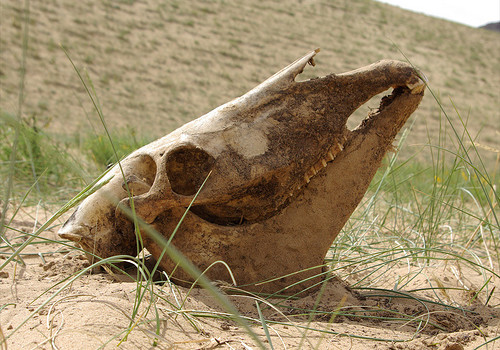 Good Speedy Prototyping Machines photographs