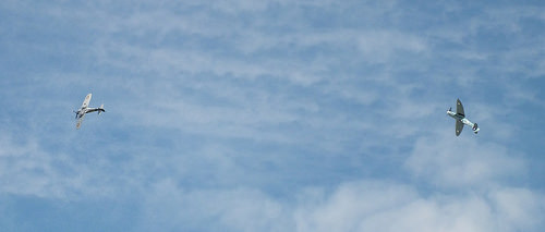 rapid prototype development